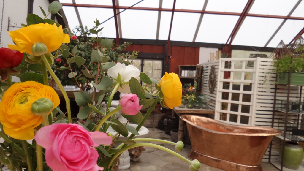 20150402_141649_1024